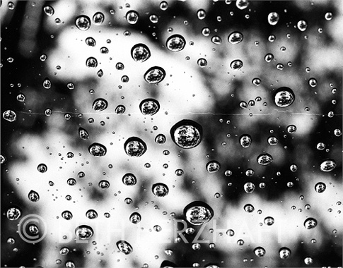rain.1_close-up