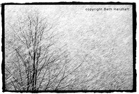 Beth's Snowy Landscape